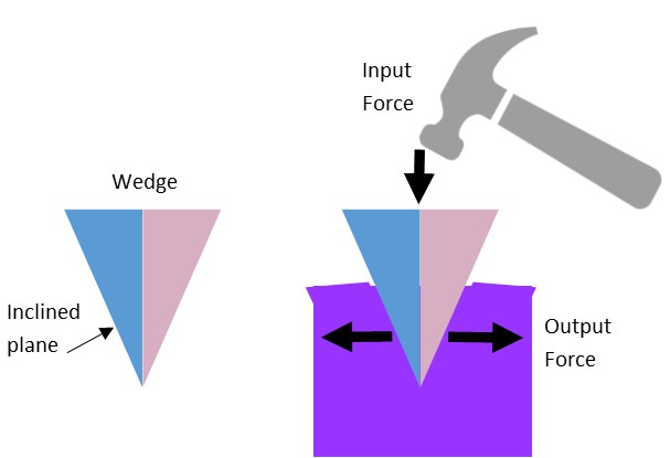 wedge diagram